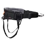 Non-stop dogwear Trekking Belt 2.0 Hands Free Padded Dog Walking, Hiking and Skiing Belt. Black/grey, Medium