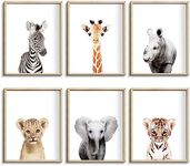 Nursery Baby Room Wall Art Decor, Jungle Nursery Baby Animals Nursery Decorations, Cute Nursery Safari Decor Baby Bedroom Decorate(8"x10", UNFRAMED)(Jungle)