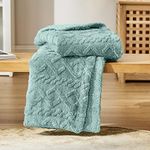 Bedsure Sherpa Fleece Throw Blanket - Fluffy Fuzzy Soft Warm Jacquard Coral Fleece Blanket for Bed and Couch, Double/Twin, Light Green, 150x200cm