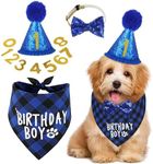 WESTch Dog Birthday Party Supplies 