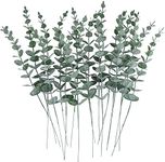 CEWOR 24pcs Eucalyptus Stems Artifi