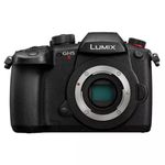 Panasonic LUMIX GH5M2 Mirrorless Camera with wireless live streaming - Black