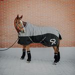 SUNRIDE Winter Horse Blanket 250g (Helsinki) - Reflective, 1200D Ripstop - Optional Neck Part - can be Combined with underrugs (Grey, 140cm)