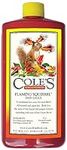 Cole's FS16 Flaming Squirrel Seed S