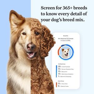 Wisdom Panel Dog DNA Test – Breed & Health Screening Kit