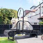 Dog Treadmill for Large/Medium Dogs