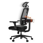 Newtral Ergonomic Home Office Chair