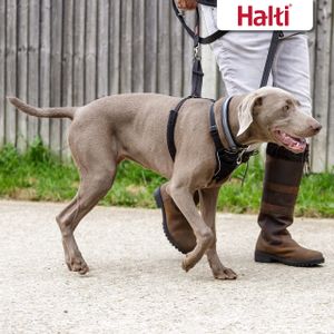 HALTI No Pull Dog Harness Large – Black Adjustable Training Harness