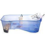 Turtle Tank for Kids & Reptile Lovers with a Turtle Lamp Breeds Turtle up to 4 inches. Terrarium / Aquarium with Terrapin Lake, Palm Tree & Pebbles, 23 inch Large Tank - Total Turtle Tank