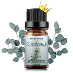 Sedbuwza Eucalyptus Essential Oil, 100% Pure and Natural Premium Eucalyptus Aromatherapy Oil for Diffuser, Humidifier, Perfume, Soap, Candle - 10ML