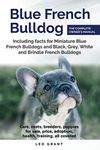 Blue French Bulldog: Care, costs, price, adoption, health, training and how to find breeders and puppies for sale.