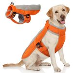 Hjumarayan Dog Cooling Vest, Breathable Dog Cooling Coat with Adjustable Neck and Tummy, Reflective Cooling Dog Coat Stylish Dog Cooling Jacket with Grid for Longer Coolness, Orange L