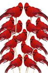 BANBERRY DESIGNS Cardinal Floral Picks - Set of 24 Small Red Velvet and Realistic Feathered Christmas Tree Decorations Cardinals on a Wooden Stick - Artificial Birds for Crafts Decorating