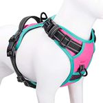 PHOEPET 2019 Upgraded No Pull Dog Harness, Reflective Adjustable Vest, with a Training Handle + 2 Metal Leash Hooks+ 3 Snap Buckles +4 Slide Buckles(XS, Pink)