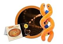 GIANTMicrobes - DNA (Deoxyribonucle