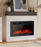 Free Standing Glass Fireplace