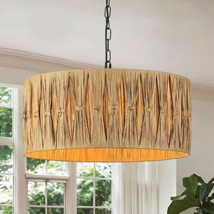 Karjearl Rattan Light Fixture