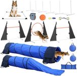 Agility Training Equipment for Dogs