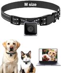 LuminiCam Cat Camera Collar, Direct Recording Camera for Cat/Dog, M-Size Collar, No App, Cordless Cat Collar Camera, Body Camera for Cat/Dog Tracking, Dog Collar Camera(No Micro-SD Card Included)