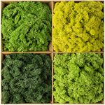 Preserved Moss Reindeer Moss Bulk Moss for Crafts Natural Dried Multicolored Floral Moss for DIY Arts Wall Home Office Terrariums Wedding Centerpieces Decoration(Novel, 2.2 lb)