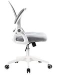 G GERTTRONY Office Chair Office Chaise with Flip up Armrests Task Chair with Lumbar Support Mesh Computer Chair Swivel Executive Desk for Home Conference Room (Classcial, White)