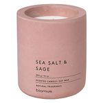 Blomus Fraga Scented Candle Withered Rose L Soy Wax Concrete,Medium , 290gm, Pack of 1