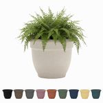 Bloem Ariana 10" Vanilla Bean Round Self Watering Planter Pot - Rolled Rim Plastic Resin Indoor or Outdoor Gardening Planter with Drainage Holes, Made in USA