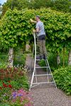 Hendon 6ft (1.8m) Aluminium Platform Lightweight Tripod Ladder with handrail - Ideal for Gardeners, DIY enthusiast, Landscapers, suitable for both outdoor and indoor use. Silver