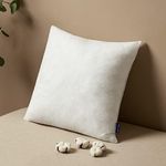 MIULEE Pillow Insert 17x17 Inch, De