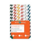 ECO SOUL Biodegradable Multicolor Paper Straws, 6 MM, 100 Count, Regular