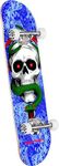 Powell Peralta Mike McGill Skull & 