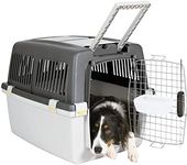 Transport Box Gulliver Mega 81 x 61