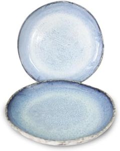 roro Modern Rustic Handmade Ceramic Stoneware, Reactive Rough Edge Coral Plate, 10.5 Inch