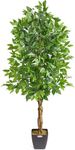 CHRISTOW Artificial Ficus Tree, Fak