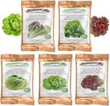 Lettuce Seed Variety Pack for Planting Over 17,500 Seeds Total (Red Romaine, Black Seeded Simpson, Iceberg, White Boston, Salad Bowl