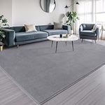 AROGAN Modern Shag Area Rug for Bedroom, 4x6 Feet Washable Rugs for Living Room, Indoor Floor Carpet Rugs, Plush Memory Foam Beside Rugs for Kids Girls Teens Room Low Pile Rug Decor, Grey