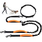 F-color Hands Free Dog Leash for 2 Dogs Reflective Running Dog Leash with 3 Padded Handles and Strong Bungees, Adjustable Waist Belt for Walking Jogging Hiking, Shock Absorbing, Black