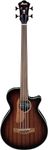 Ibanez AEGB24FE AEG Fretless Acoust