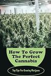 How To Grow The Perfect Cannabis: T