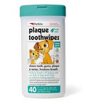Petkin Pet Wipes for Dogs & Cats, Petkin Plaque Toothwipes, Jumbo Ear Wipes and Jumbo Eye Wipes (80 Wipes, Plaque Fresh Mint Toothwipes)