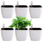 yarlung 6 Pack Self Watering Planter with Water Level Indicator, 5 Inch/12.7cm Plastic Plant Flower Pots Nested Container for Indoor Plants, Herbs, Aloe, Outdoor Gardening