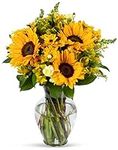 Benchmark Bouquets Rays of Sunshine