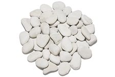 Landscape Garden Pebbles – Natural Decorative Stones (White) (2-3")