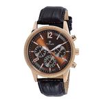 Titan Stainless Steel Neo Analog Silver Dial Men's Watch-Nl1734Wl01/Np1734Wl01, Band Color:Brown