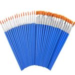 60 Pcs Paint Brushes,Round Flat Small Brush Bulk for Detail Painting