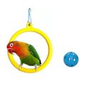 The Pets Company Bird Toys & Swings, Hanging Oval Rings for Budgie, Finches & Other Small Birds | Bird Swing with Bird Ball Set of 2, Small
