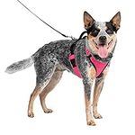 PetSafe EasySport Dog Harness, Adju