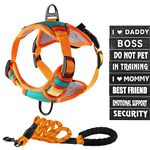 Pet All  Pet Harnesses