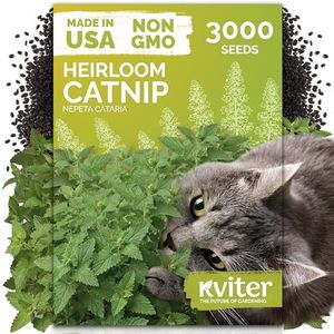3,000 Catnip Heirloom Herb Seeds for Planting, Nepeta Cataria