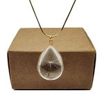 Dandelion Make a Wish Real Flower Waterdrop Pendant Gold Plated Snake Chain Necklace for Women Handmade